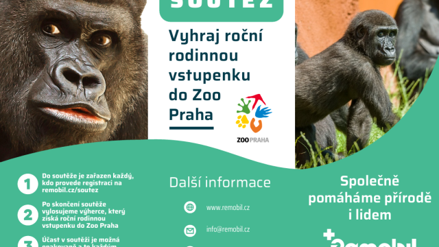 Sběr mobilů