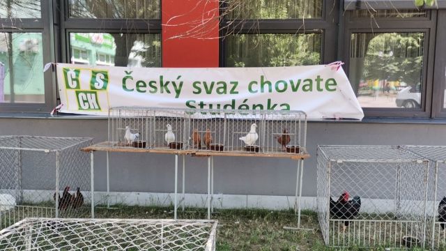 Týden města 2021