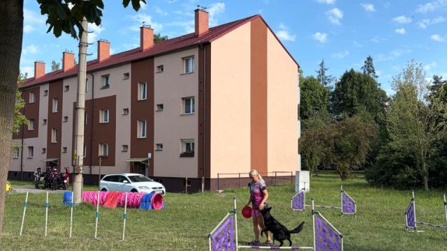 Letní festival - fotogalerie červenec